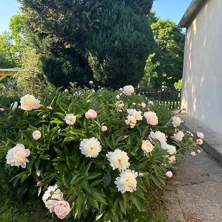 Independant Apartament