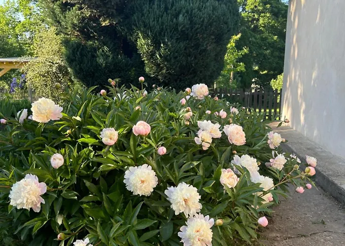 Independant Διαμέρισμα