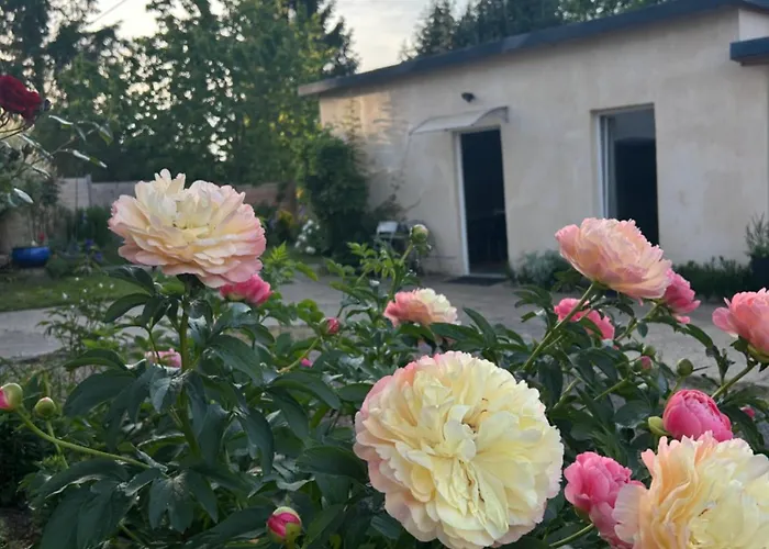 Διαμέρισμα Independant